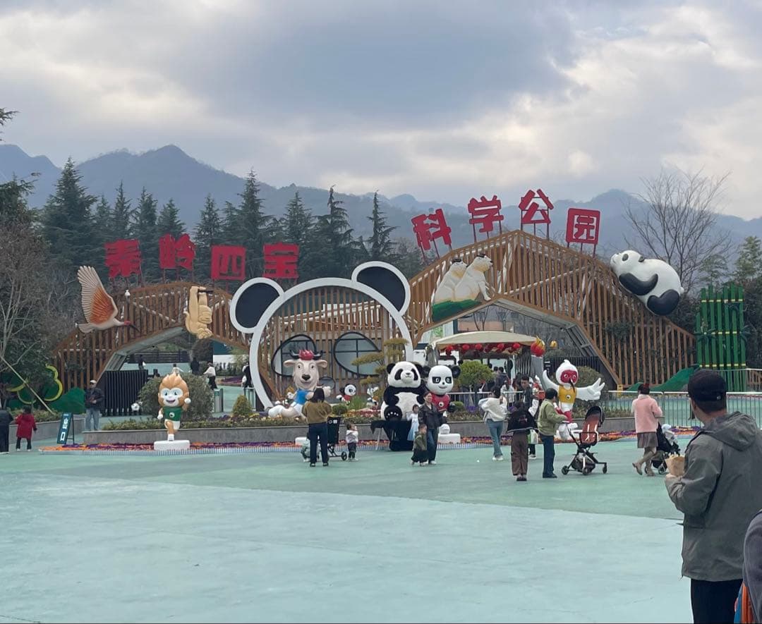 チョコレートパンダ「七仔」チーザイぬいぐるみ☆秦嶺四宝科学公園公式ショップ購入品