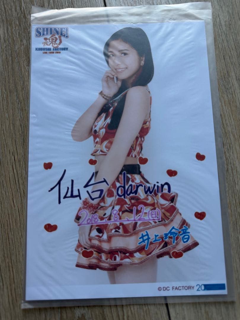 Juice=Juice 井上玲音　日付入りA5ワイド　日替わり写真　17枚セット