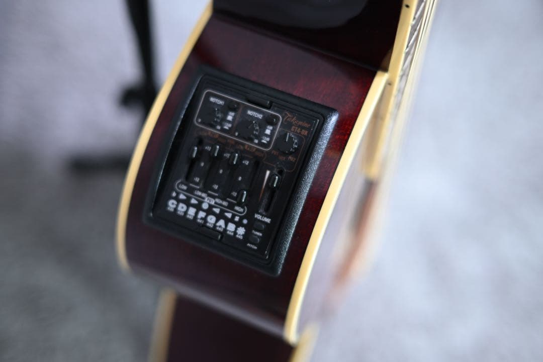 ギター Takamine DMP551C WR