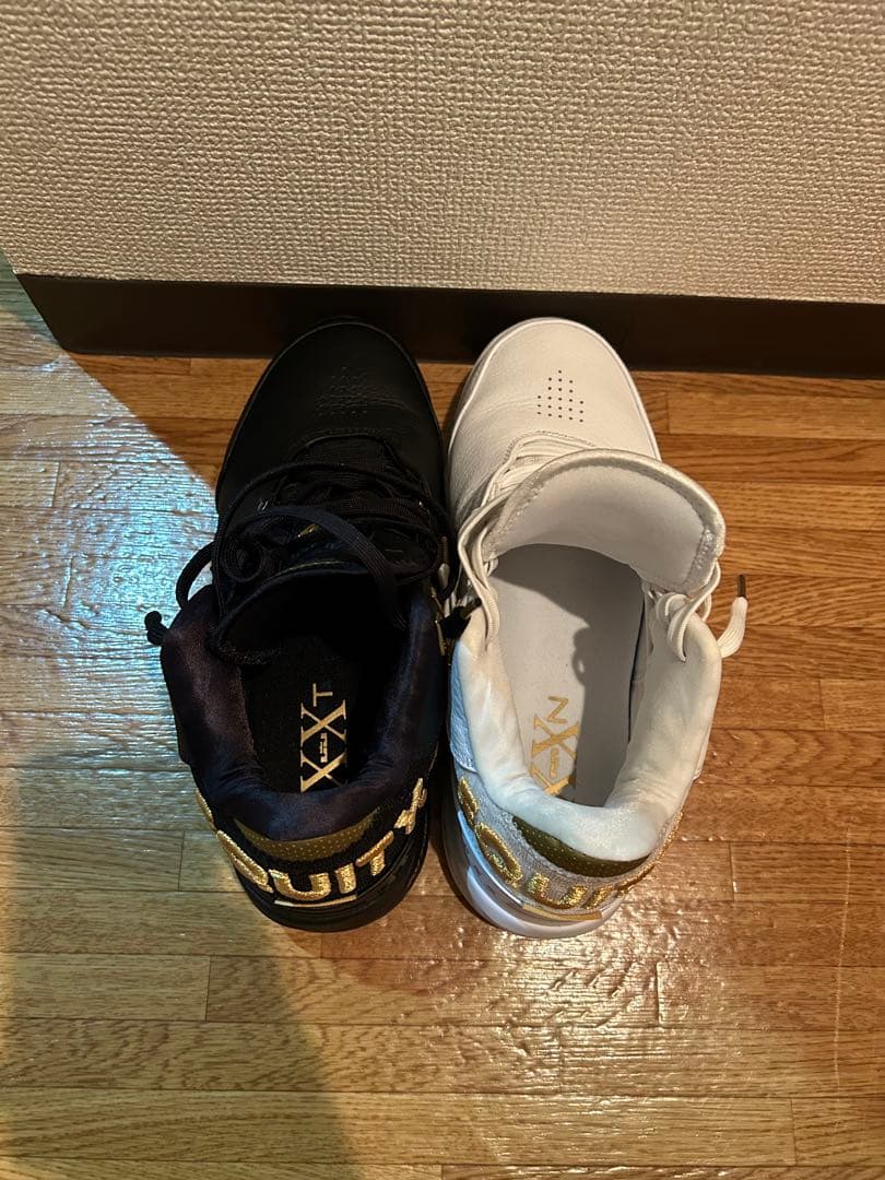 シューズ(男性用) nike zoom lebron NXXT GEN AMPD EP