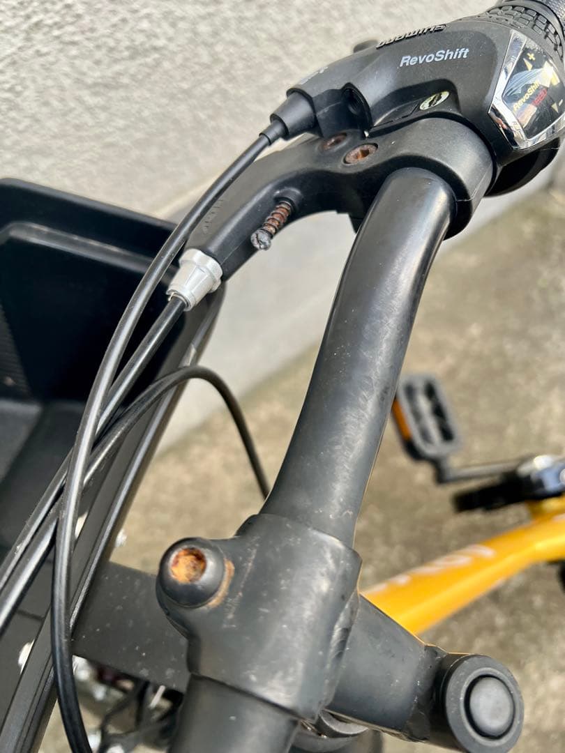 ARMS キッズ自転車 ゴールド 22インチ