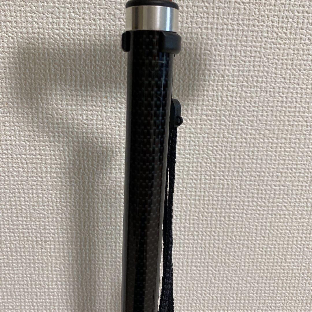 杖