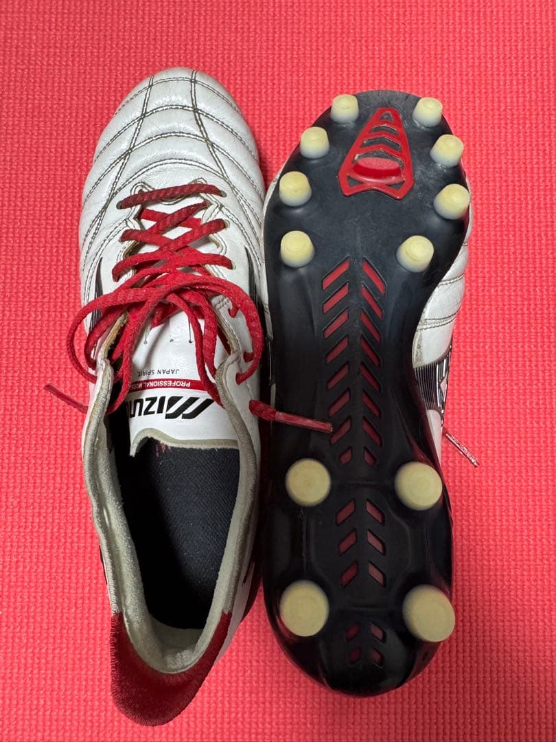 Mizuno モレリアネオⅢ 24.5