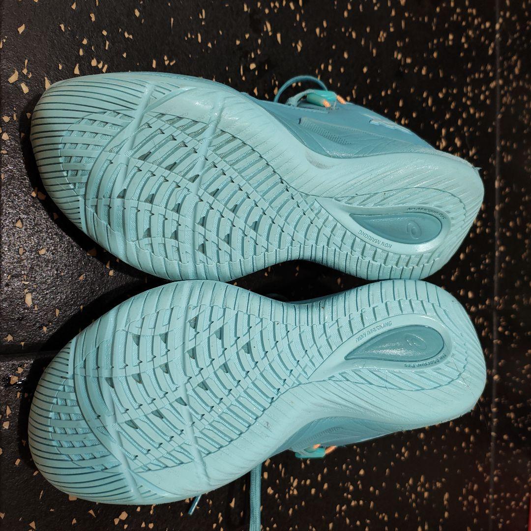 asics　バッシュ NOVA SURGE LOW 2　24.5
