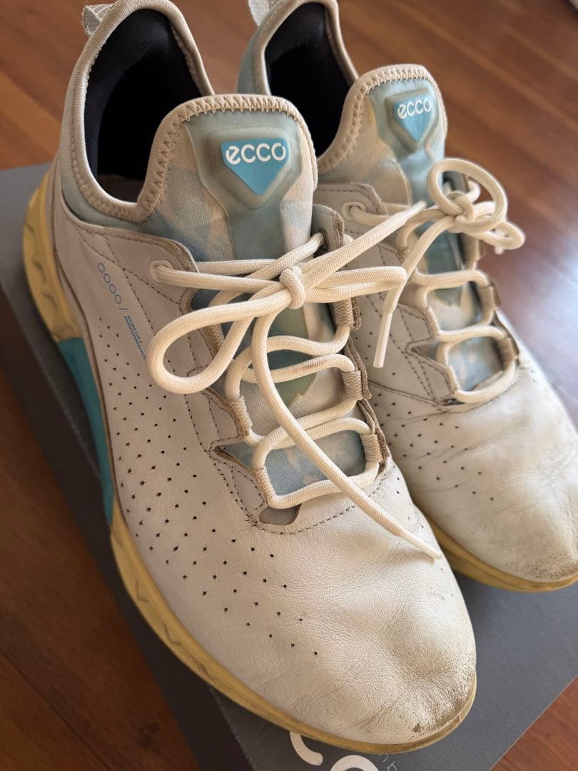 ECCO Golf Biom C4 メンズ レザーGore-Texゴルフシューズ