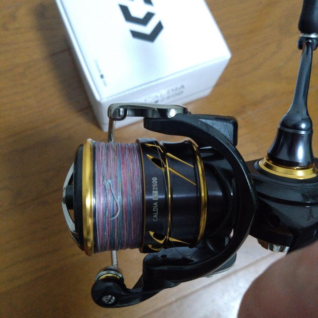 ヒラッチ　　ダイワ 21カルディア LT2500