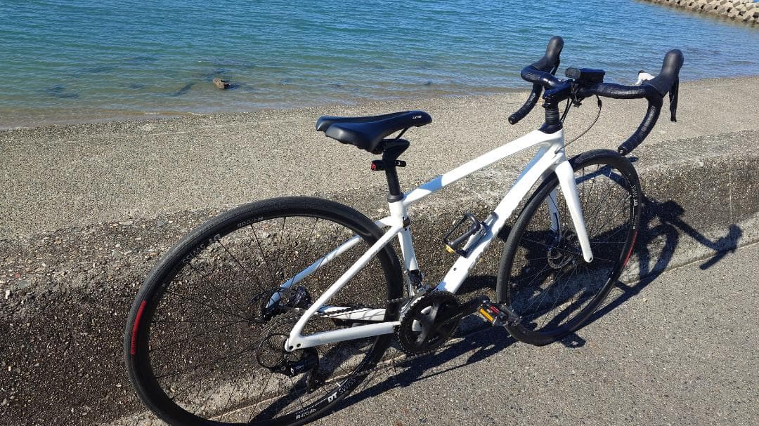 SPECIALIZED RUBY COMP 2018 48サイズ 105