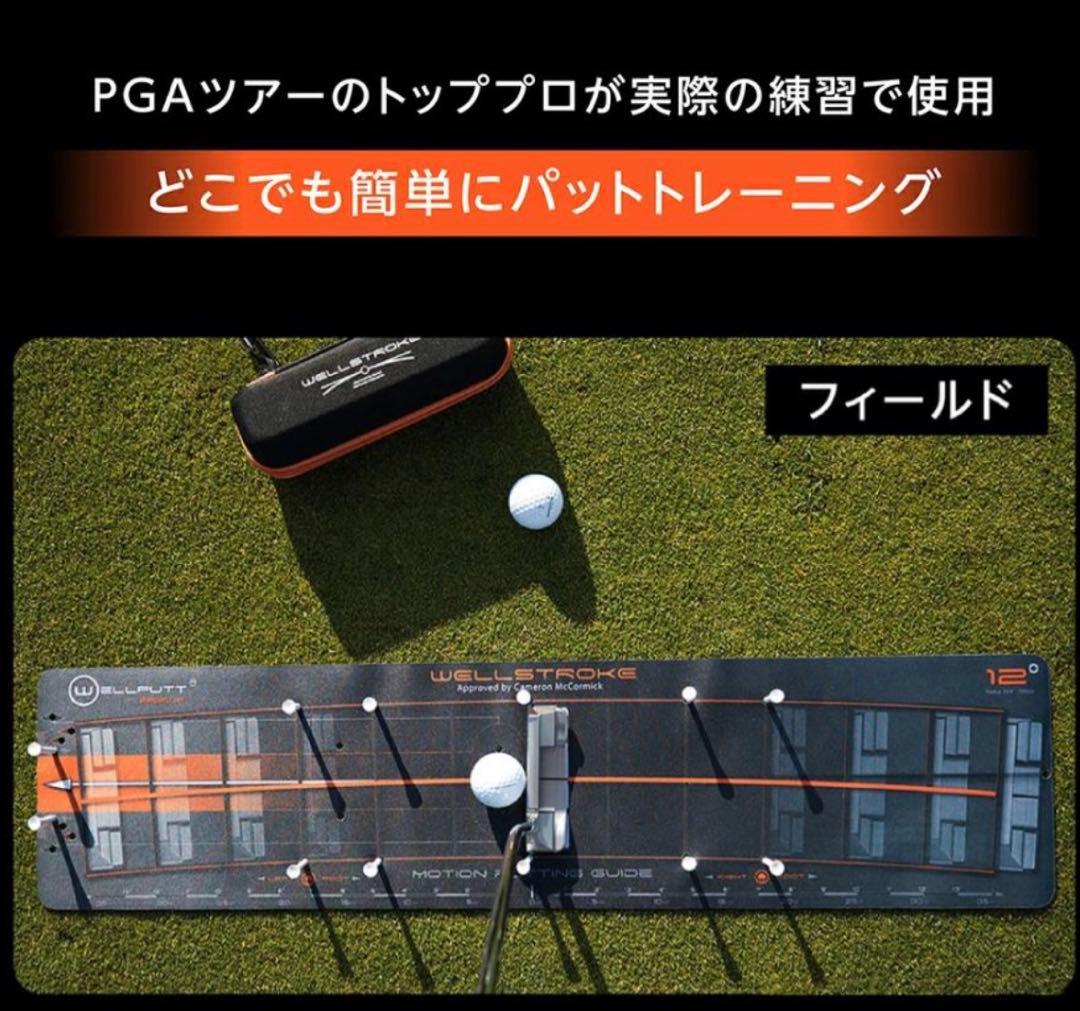 ショートパットが入る！パターストローク矯正 マット　12度