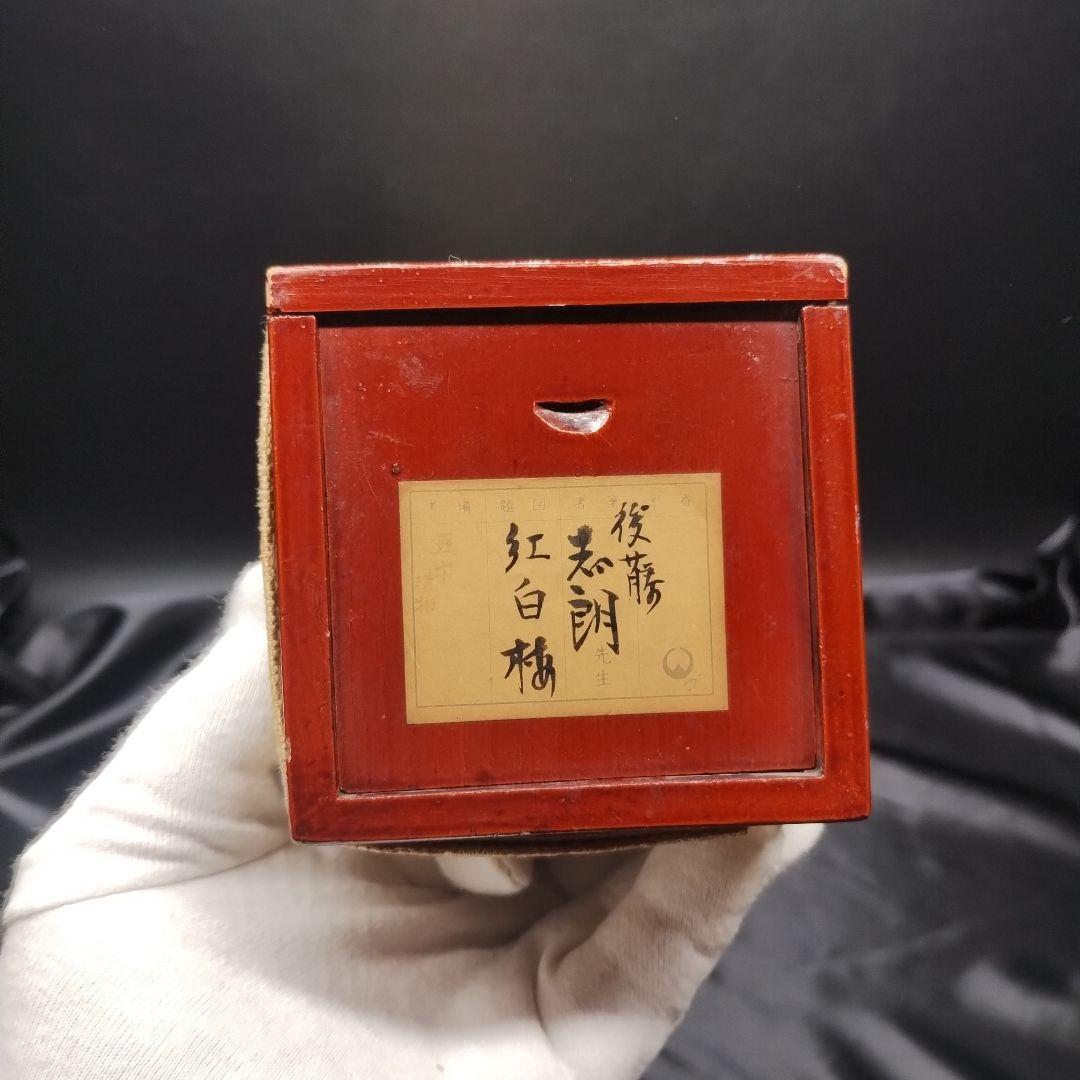 掛軸 後藤志朗 紅白梅