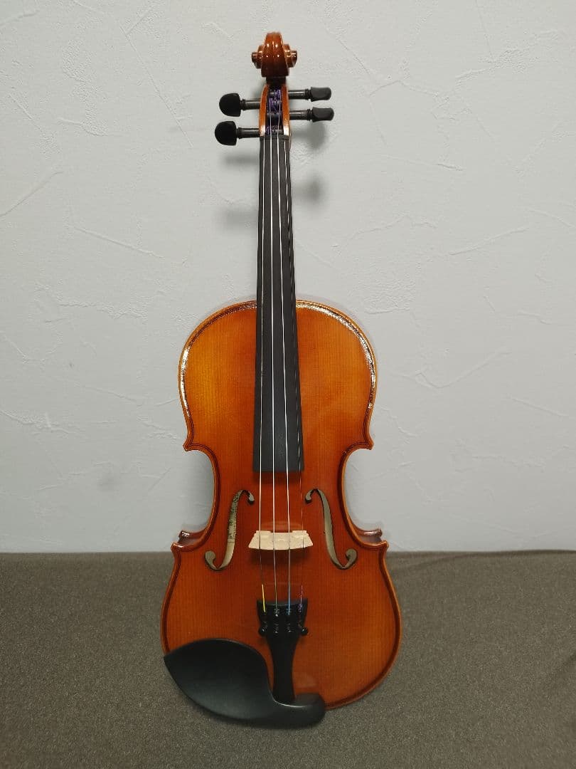 【美品】Andreas Eastman VL80 4/4 バイオリン 2019年