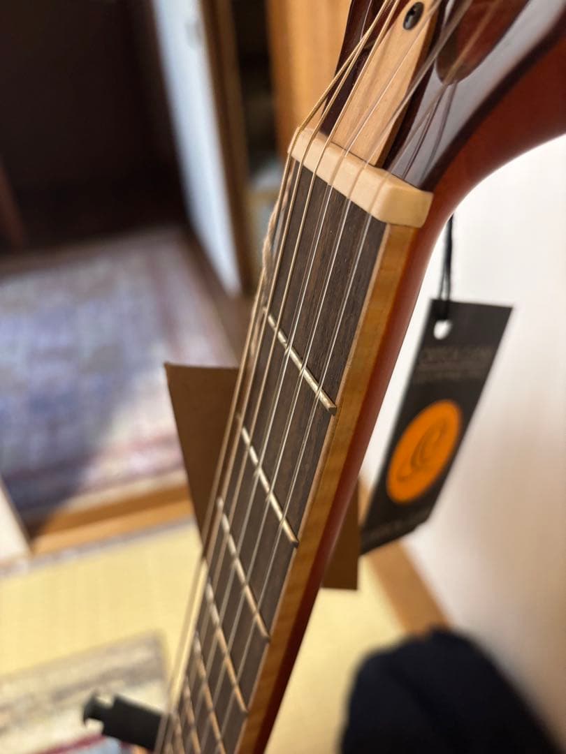 【ほぼ新品】Ortega RTPDLX-FMA TOURPLAYER エレガット