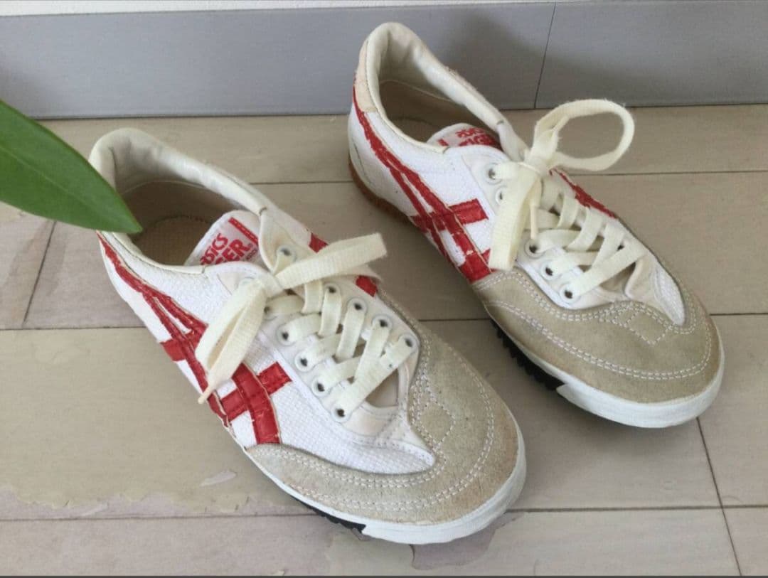 セール】アシックスタイガー バレーボールシューズ ローテロンリード TVR115