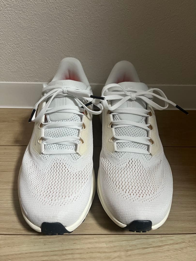ナイキ　ズームペガサス　NIKE PEGASUS 41 PREQUEL 25