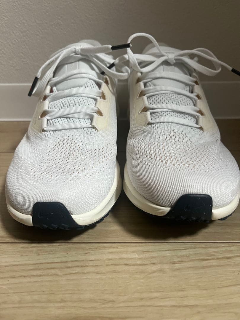 ナイキ　ズームペガサス　NIKE PEGASUS 41 PREQUEL 25