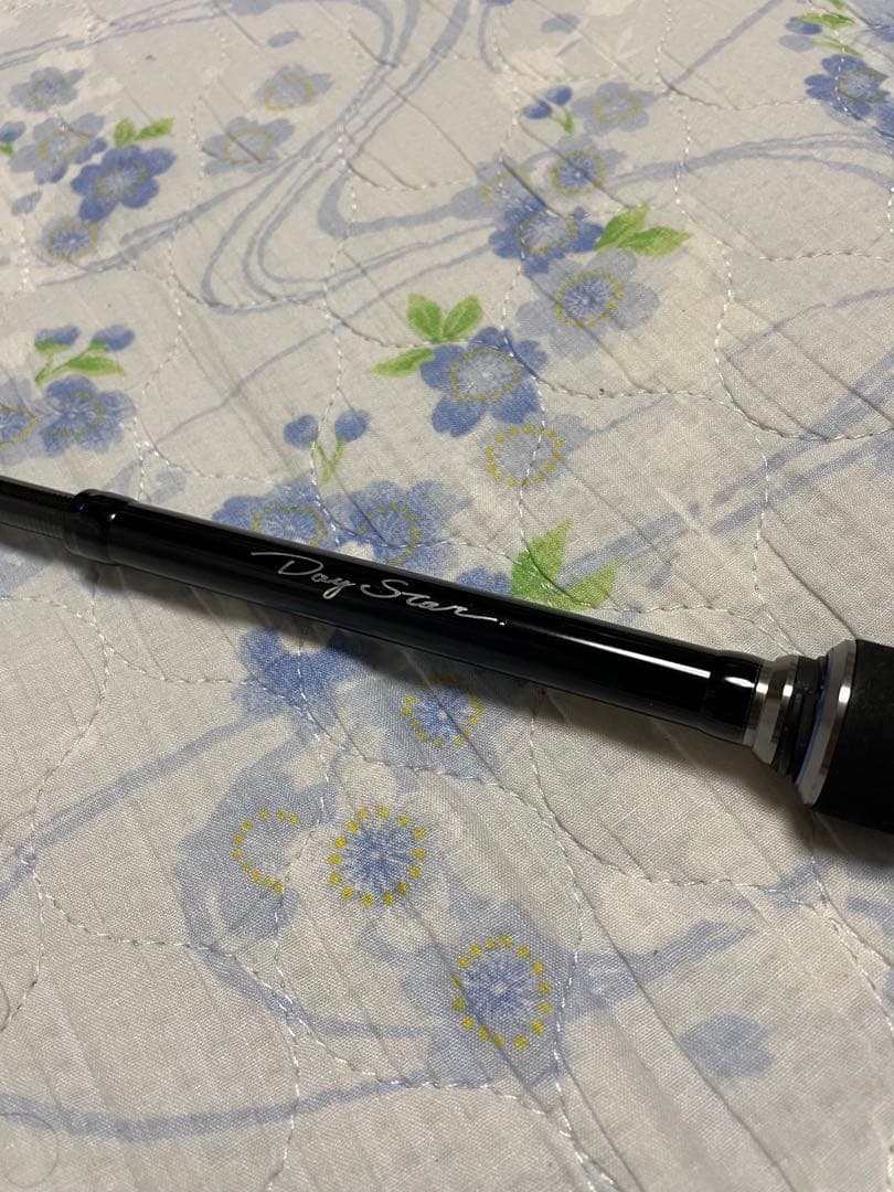 ジャンク コアマン デイスター CDS80ML-CS/T