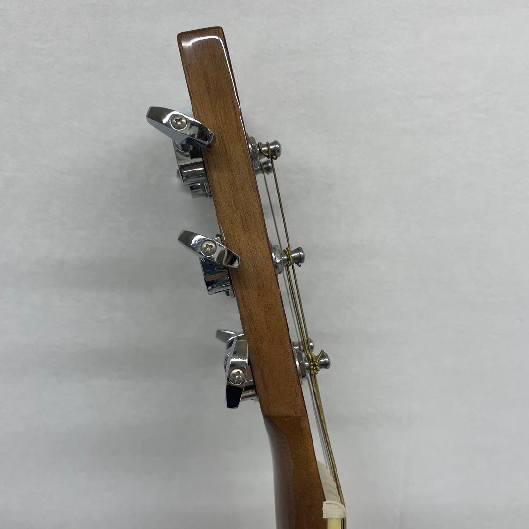 sepia crue アコースティックギター　WG-10 N