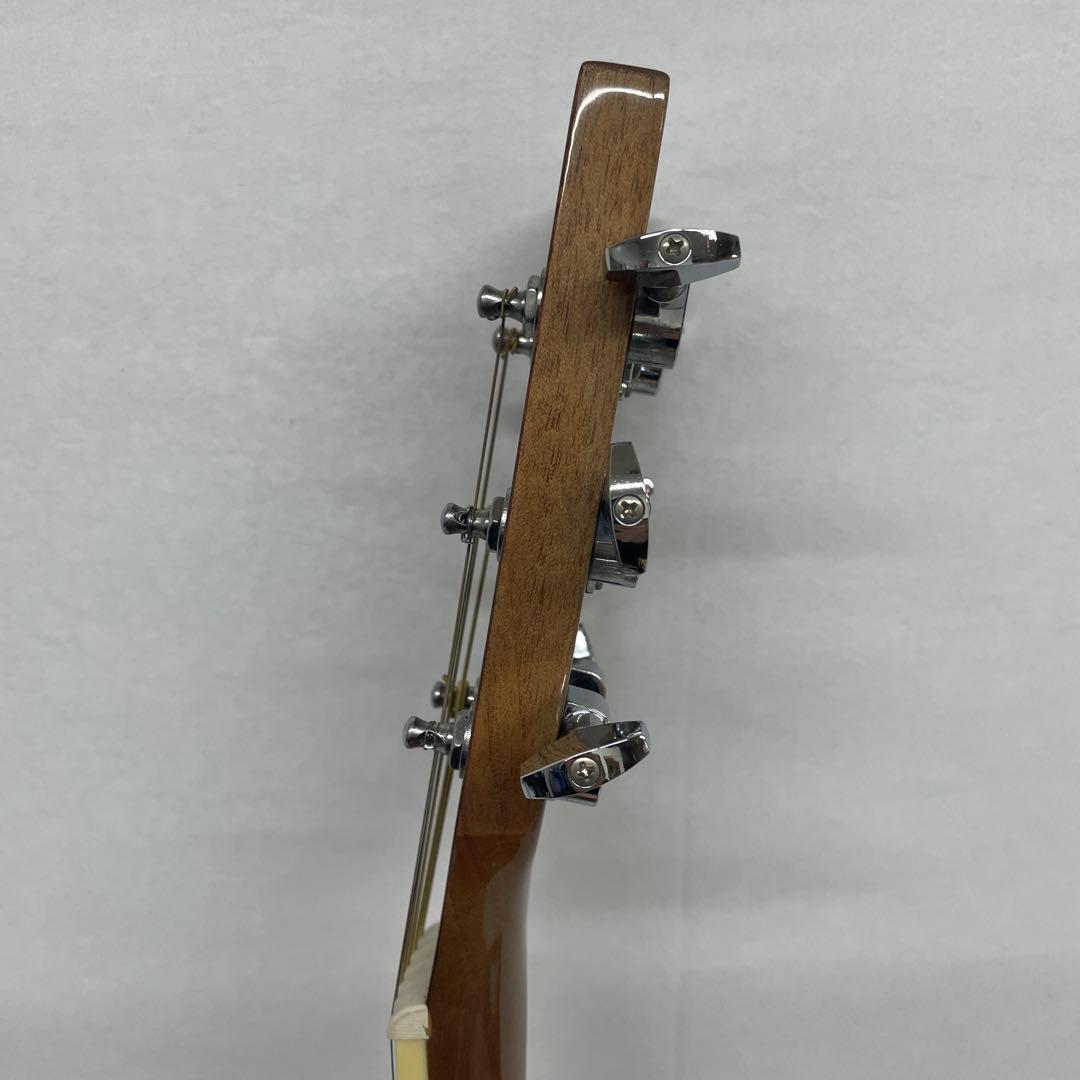 sepia crue アコースティックギター　WG-10 N