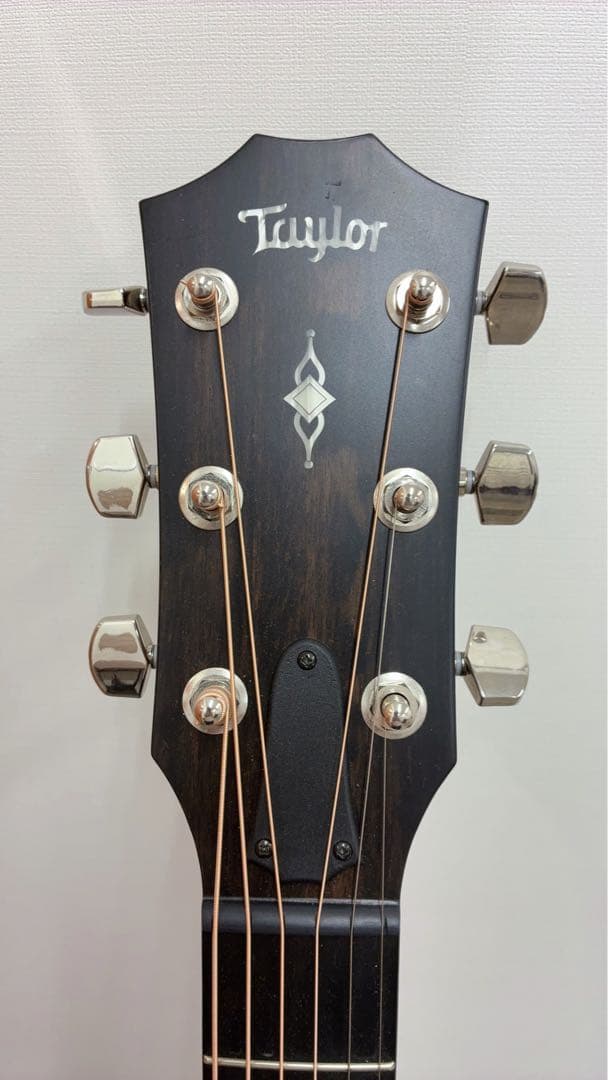 Taylor314ce V-class 弦アース