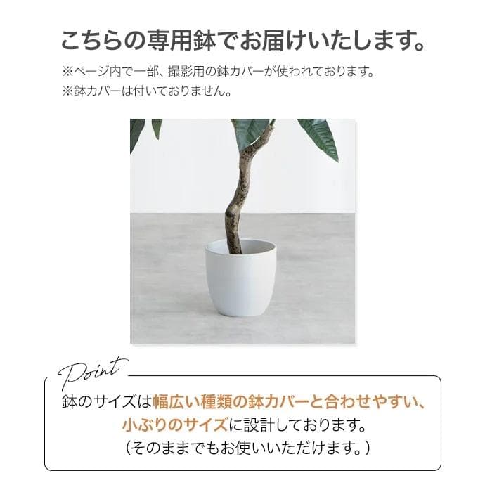 【光触媒/抗菌防臭】人工観葉植物 オリーブ 高さ85cm