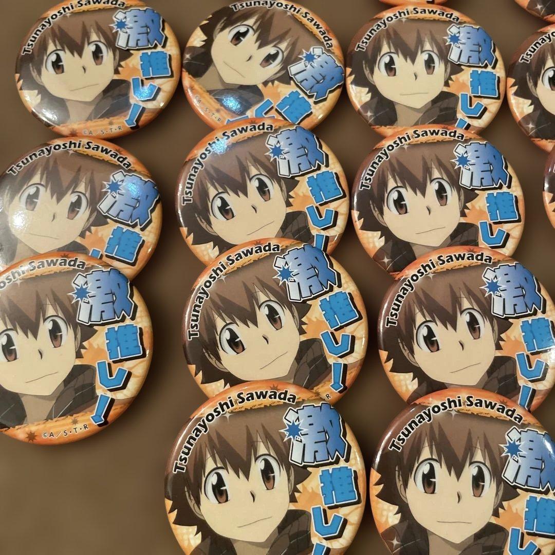 バラ売り⭕️ 家庭教師ヒットマンREBORN 激推し缶バッジ 沢田 綱吉 18個