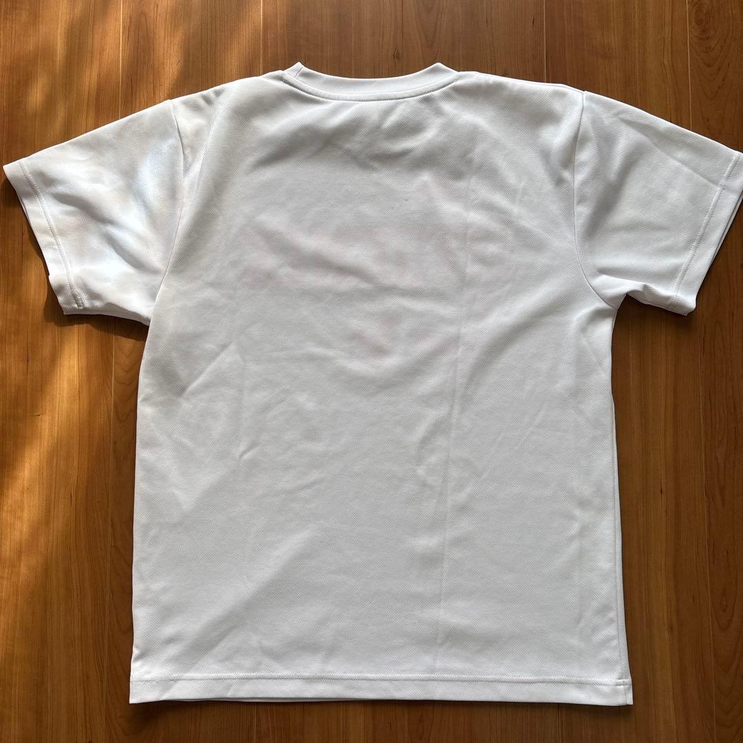 日本大学”PHOENIX” 部員限定トレーニングTシャツ Mサイズ【非売品】