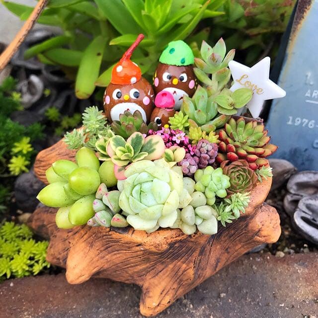 ★多肉植物　寄せ植え〜どんぐりちゃんの切り株寄せ　セットで〜★