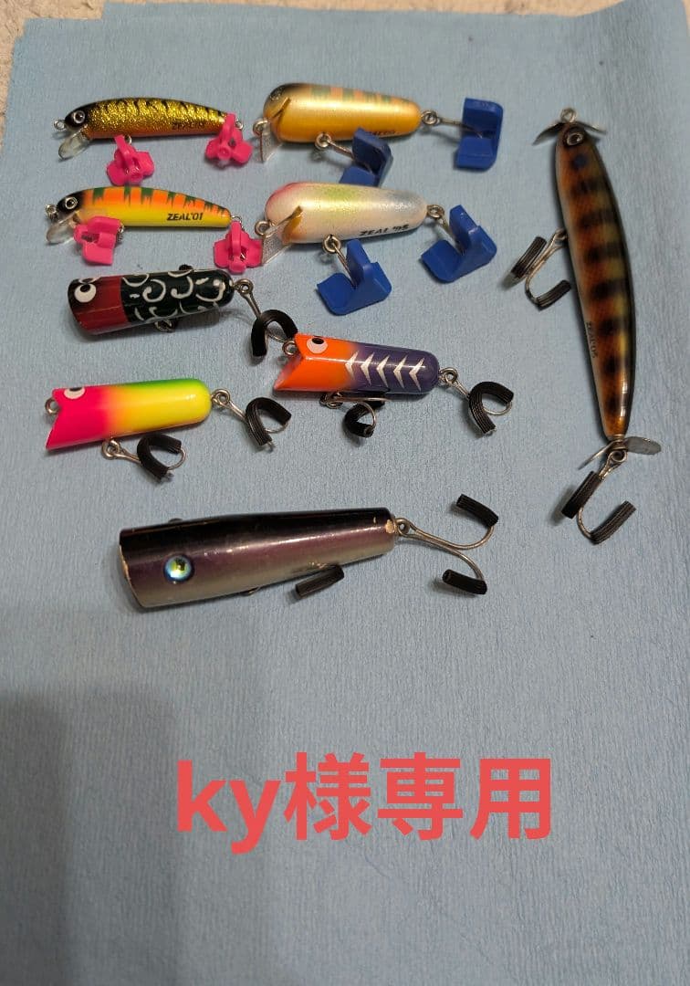 ズイール‼️１０個‼️ky