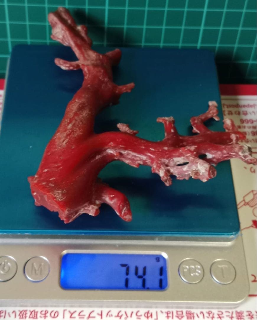 赤いコーラルの枝状オブジェ 74.1g