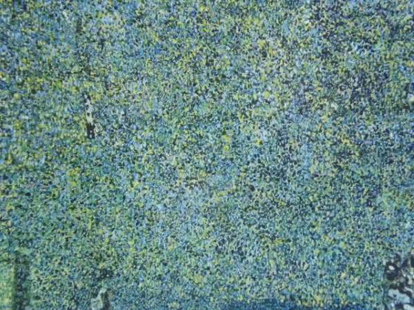 GUSTAV　KLIMT、クリムト、公園、希少な画集より、新品高級額、額装付