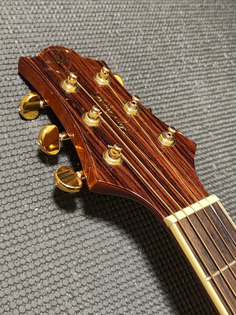 単板トップ3PバックGreg Bennett D-8 /専用ギグケース