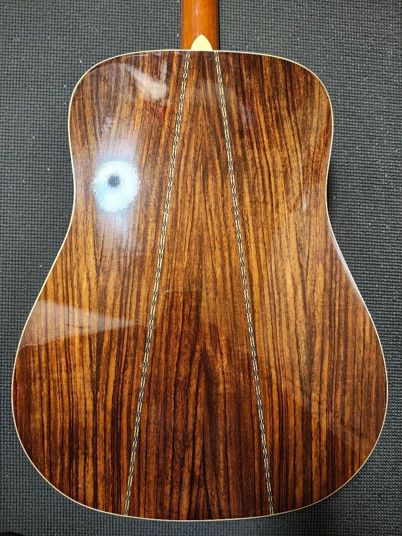単板トップ3PバックGreg Bennett D-8 /専用ギグケース