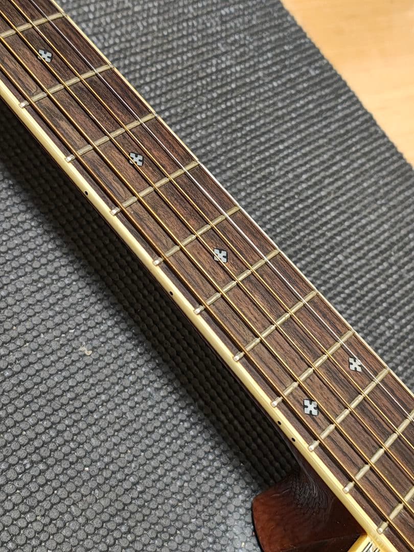 単板トップ3PバックGreg Bennett D-8 /専用ギグケース