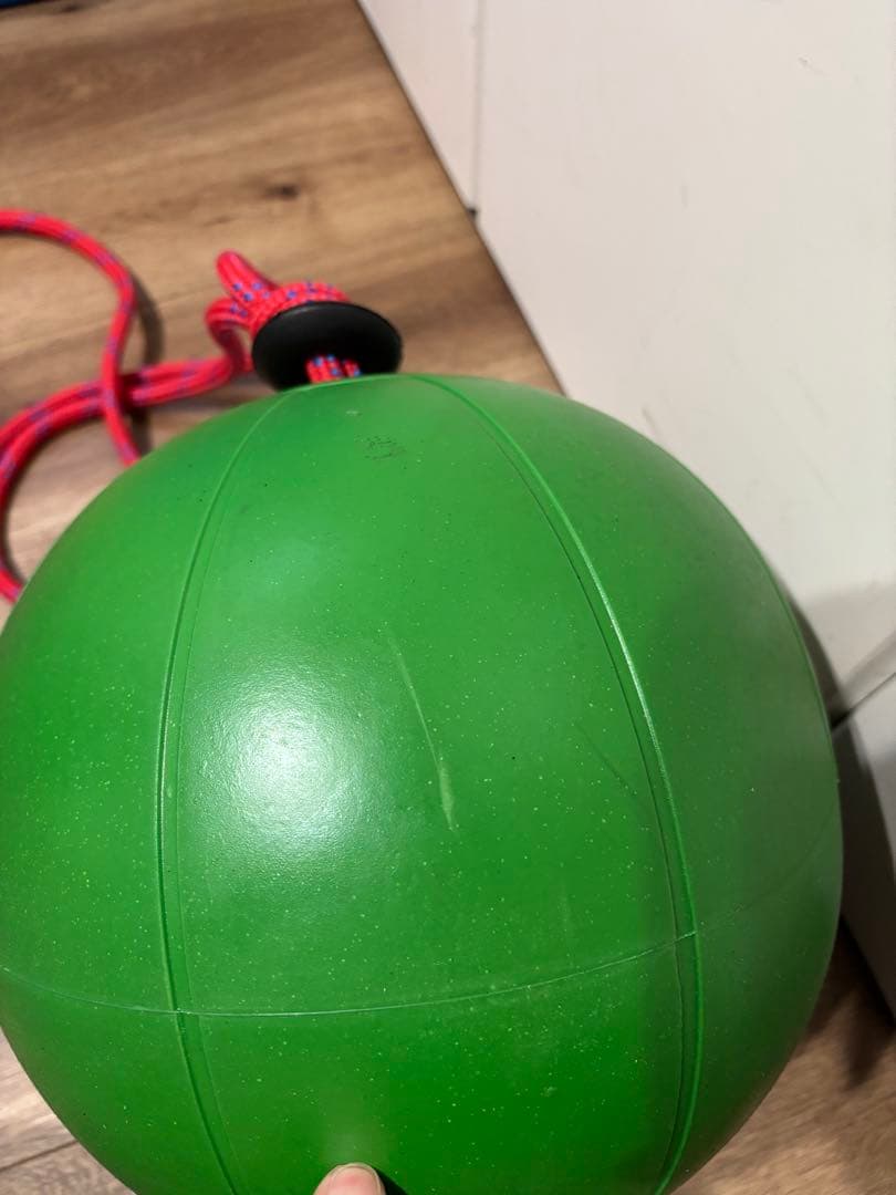 スウィングメディシンボール 4kg NISHI
