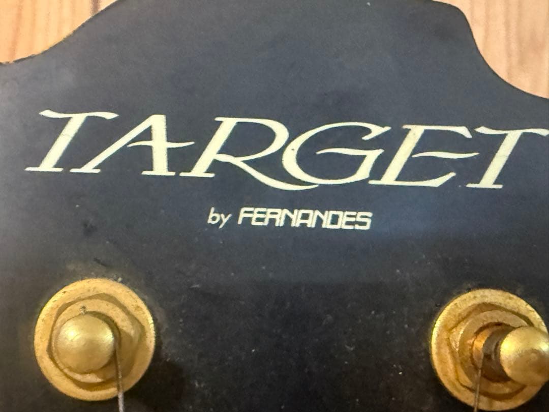 TARGET by FERNANDES エレキギター ケース