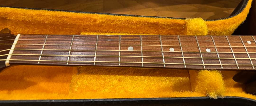 Cat's Eyes CE-400 CF ハードケース付き