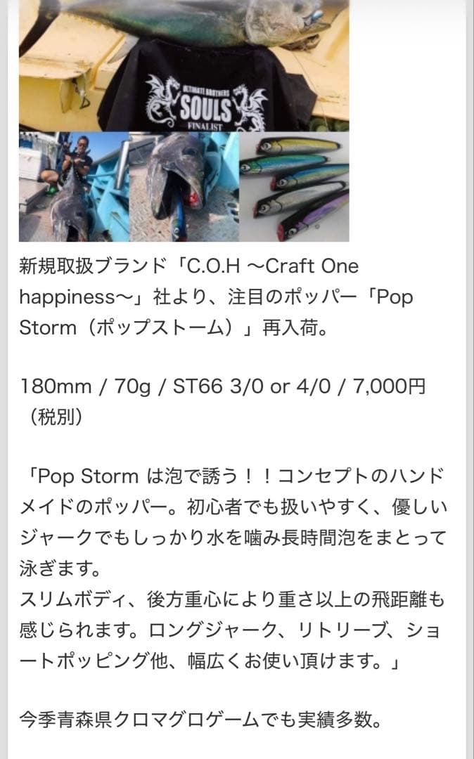 C.O.H Pop Storm 180-70 ポップストーム 180 2本セット