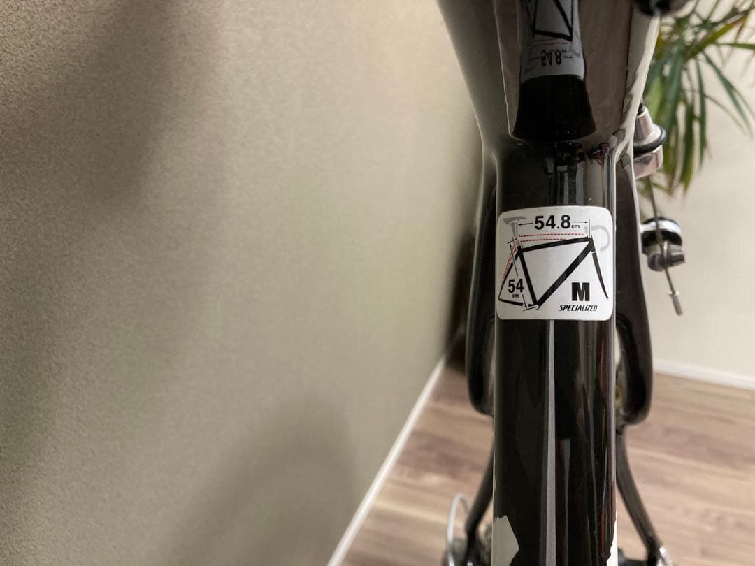 自転車本体 Specialized 2009 Roubaix Elite 30