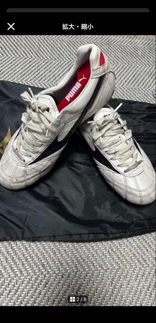 MIZUNO モレリアII JAPAN /クロスステッチ/25cm
