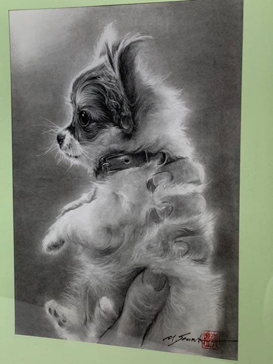 画家 白井真澄 木炭肉筆デッサン画  原画 真筆保証品！額入dog NO.26