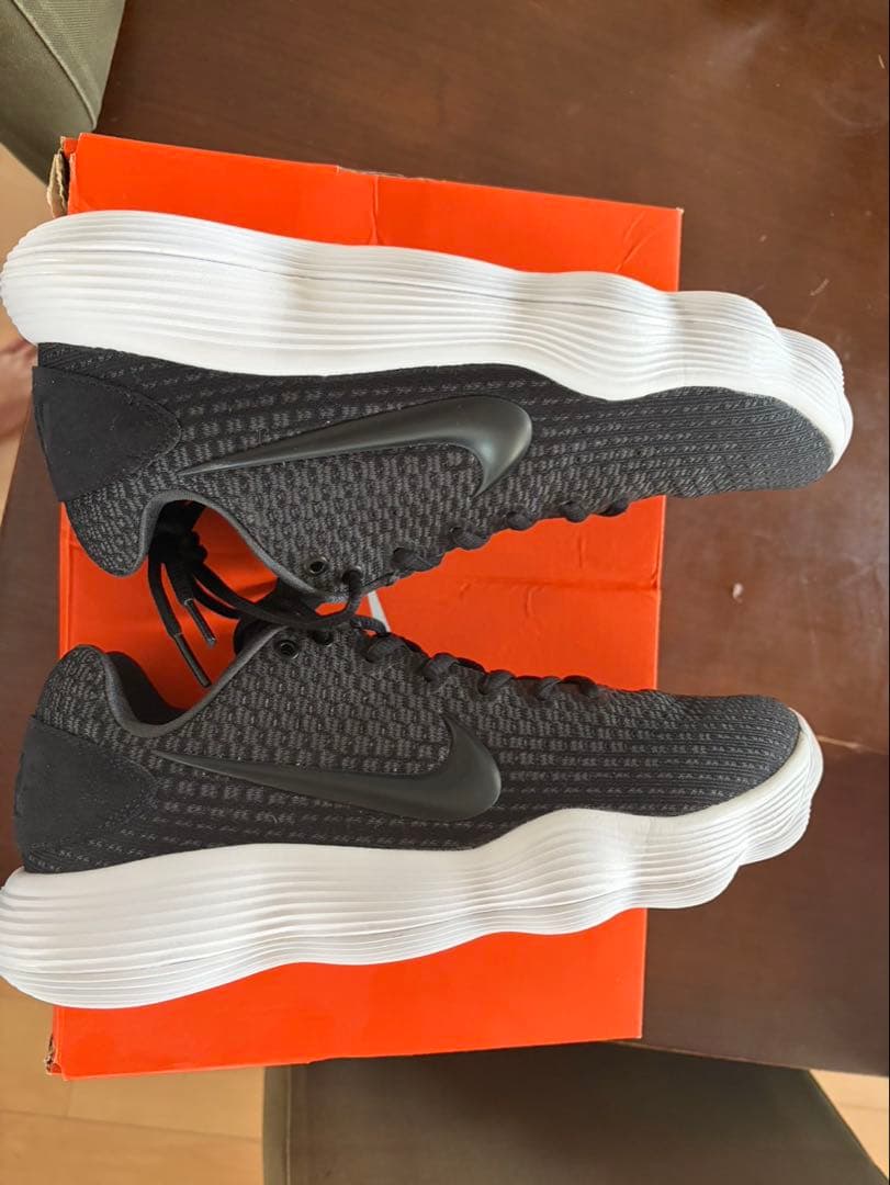 Nike ハイパーダンク2017 low