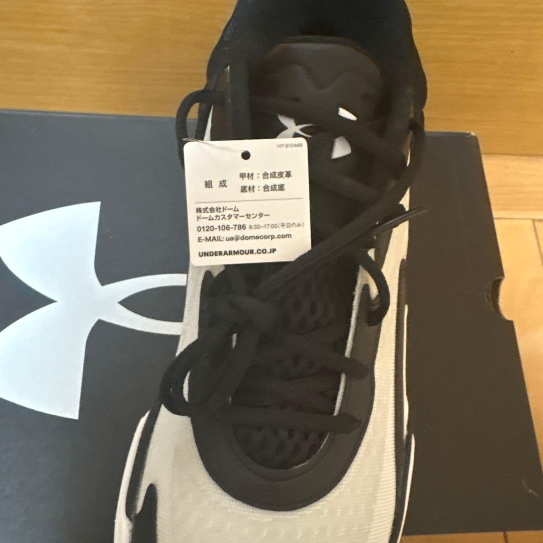 アンダーアーマー　バッシュ　28.5センチ