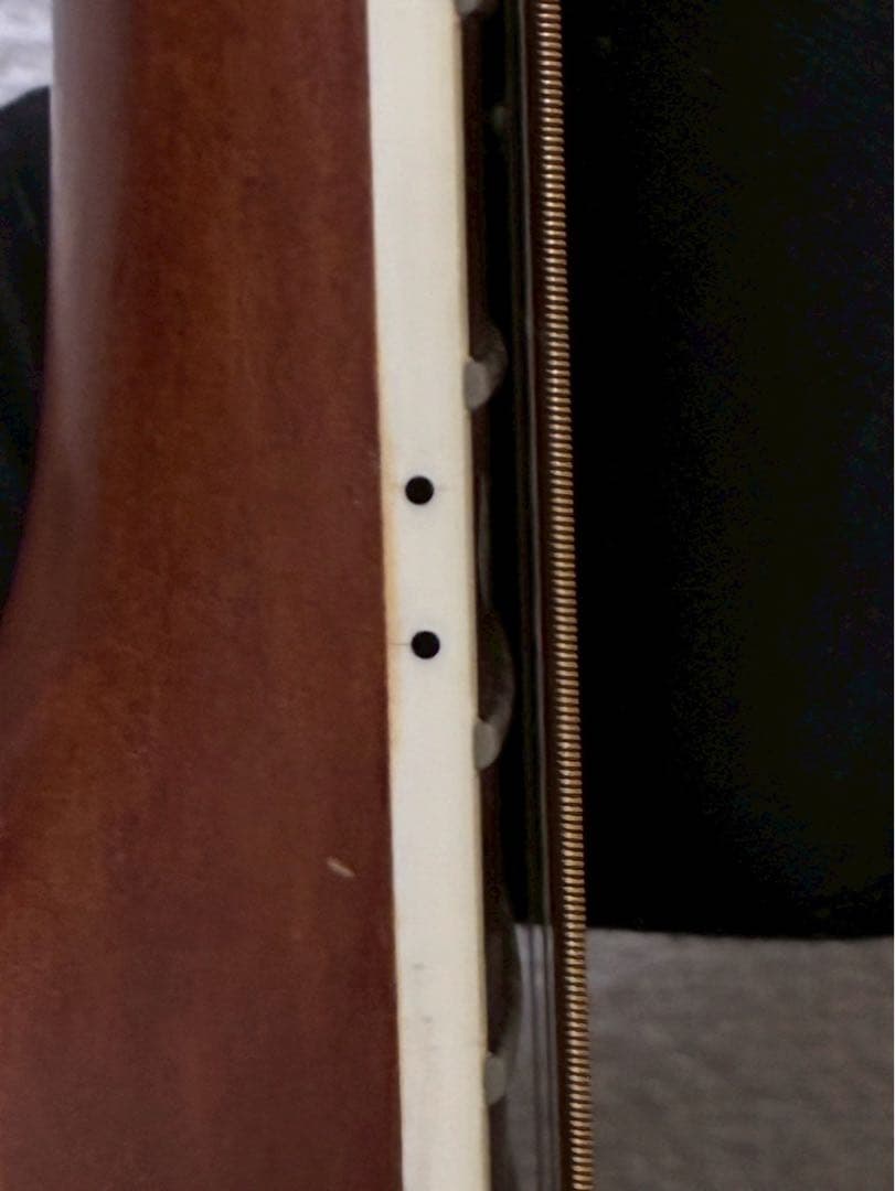 Reedman RM-601 エレクトリックアコースティックギター