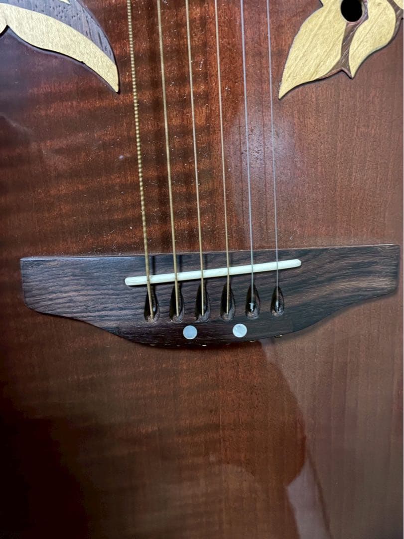 Reedman RM-601 エレクトリックアコースティックギター