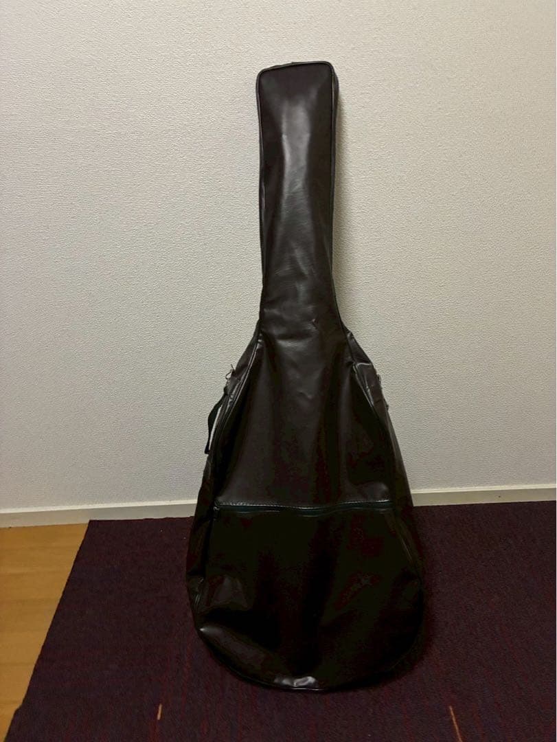 Reedman RM-601 エレクトリックアコースティックギター