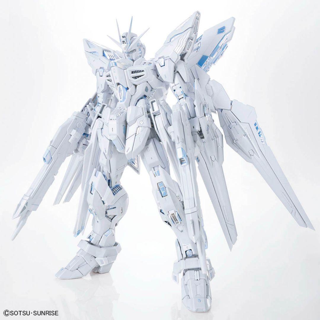 MGEX 1/100 ストライクフリーダム TWILIGHT COATING