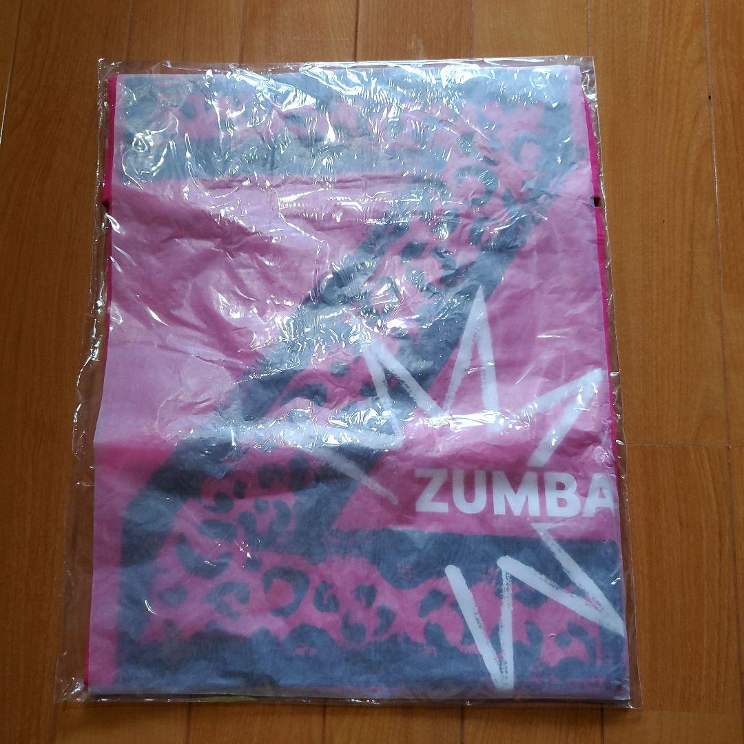 ZUMBA Tシャツ ズンバ 二枚