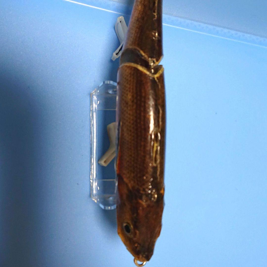 SGプラス ビッグロイド210 魚皮