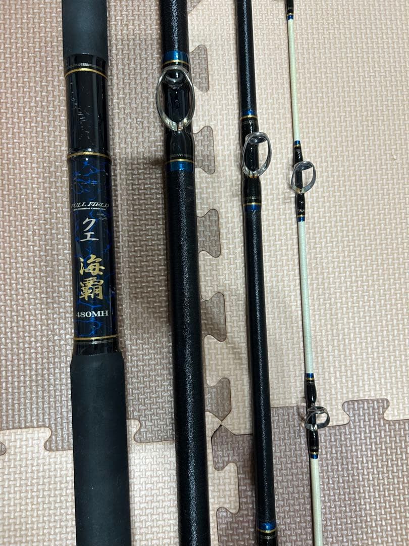 ダイコー フルフィールドクエ 海覇480MH(クエ竿)