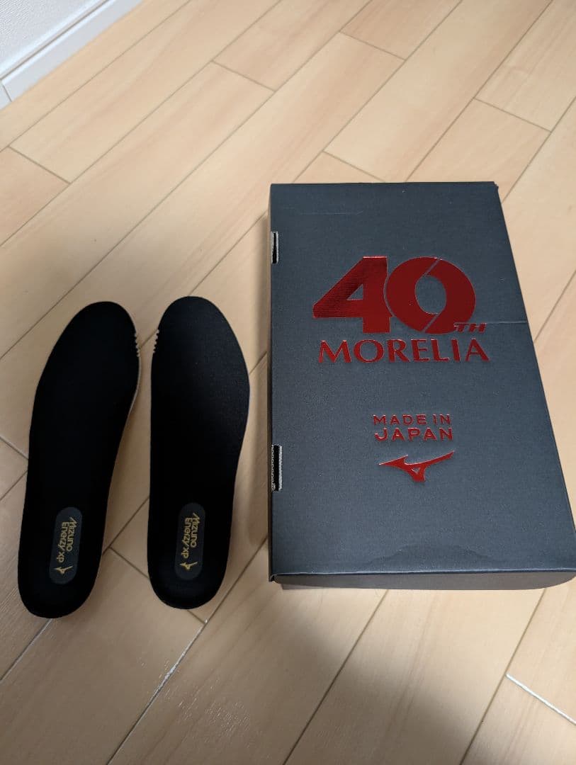 シューズ Mizuno Morelia Sala Japan TF 27cm