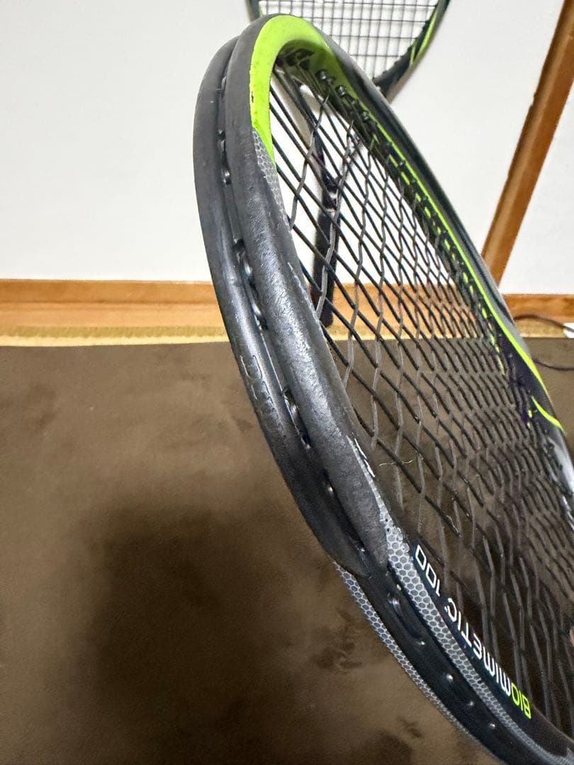 Dunlop BioMimetic （バイオメティック）100 Ｇ4